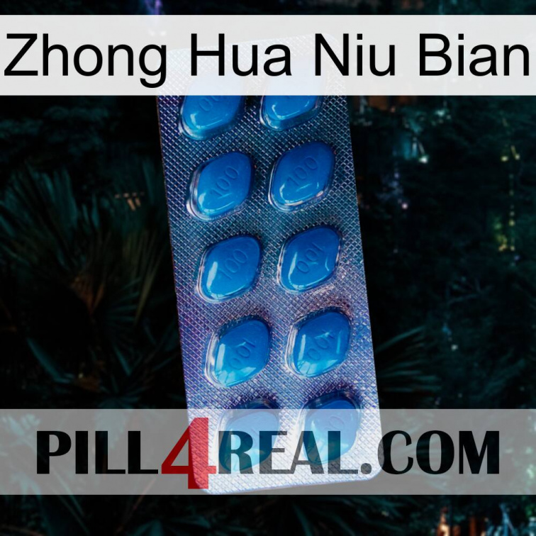 Zhong Hua Niu Bian viagra1